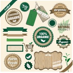 Vintage organic labels set