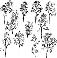 set of different spring trees N2