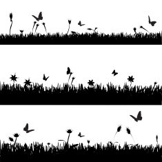 Vector Illustration N55