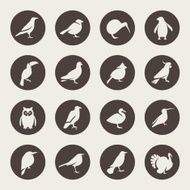 birds icons N3