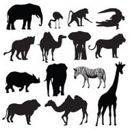 African Animals N11