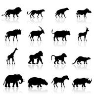 African Animals Icon Set