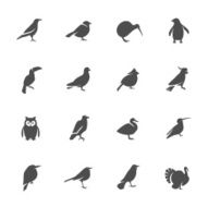 birds icons N4