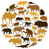Asian Animals Collage
