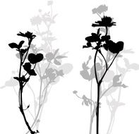 Silhouette of herbs and flowers