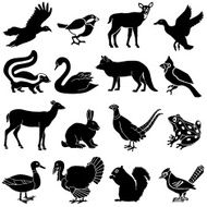 North American animals