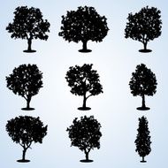 Trees silhouettes N2