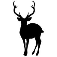 Deer Silhouette N10