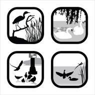 FamiliarBirds