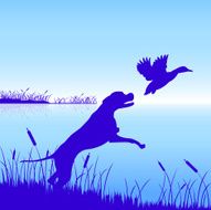 hunt dog and duck vector