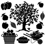 apple tree and apples