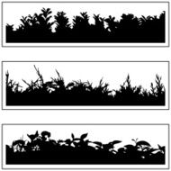 Plant border 03