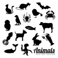 Animals N66