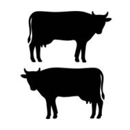 Cow Silhouette N6