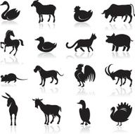 Domestic Animal Icon Set