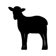 Silhouette of a sheep