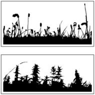 Plant border 01
