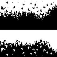Vector illustration with butterflies N5