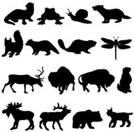 North American animals silhouette collection
