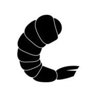 Icon of shrimp