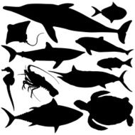 Sealife Silhouettes