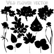 Set silhouettes of wild flowers vector N2