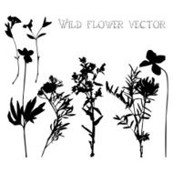 Set silhouettes of wild flowers vector N3