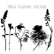 Set silhouettes of wild flowers vector N4