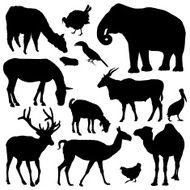 Animal Silhouettes N18