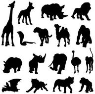 African animals silhouette collection N2