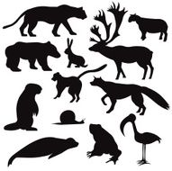 Wildlife Silhouettes
