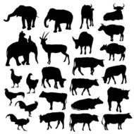 Black silhouettes of elephants cows bulls chickens deer on white