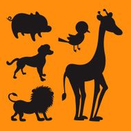 Zoo Animals N9