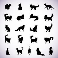 Set of cat silhouettes