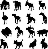Farm animals in silhouette
