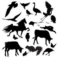 Animal &amp; Bird Silhouette Set