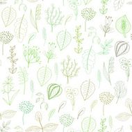 Seamless pattern of plants and herbs floral background