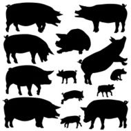 Pig silhouettes