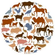 Domestic Animal Silhouettes