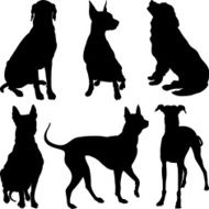vector silhouettes of dogs in various poses