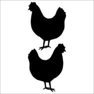 vector chicken silhouette