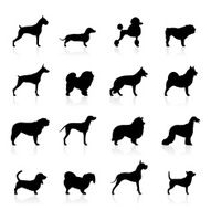 Black Symbols - Dogs N2