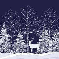 Snowy forest