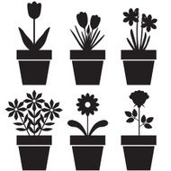 Pot plants set