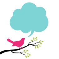 Bird and Speech Bubble