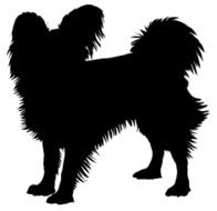 papillon