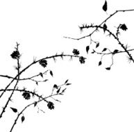 silhouettes of tree branches