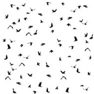 pigeons set for peace concept and wedding design Flying dove