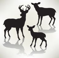 Deer Family - Buck Doe Fawn Silhouettes