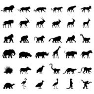 African Animal Silhouettes N5